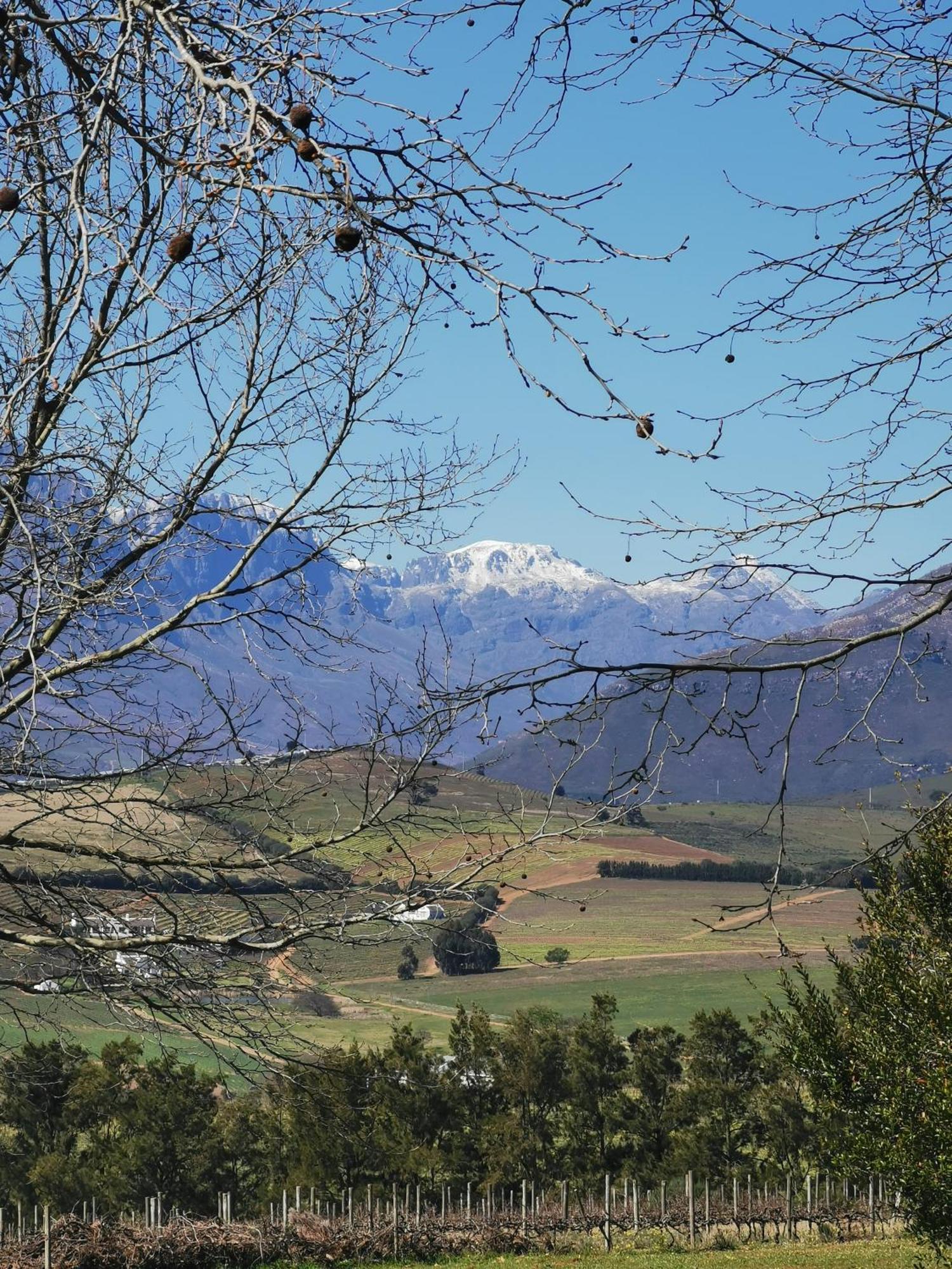 Gemoedsrus Farm Villa Stellenbosch Bagian luar foto